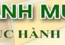 DANH MỤC THỦ TỤC HÀNH CHÍNH THUỘC LĨNH VỰC GIA ĐÌNH